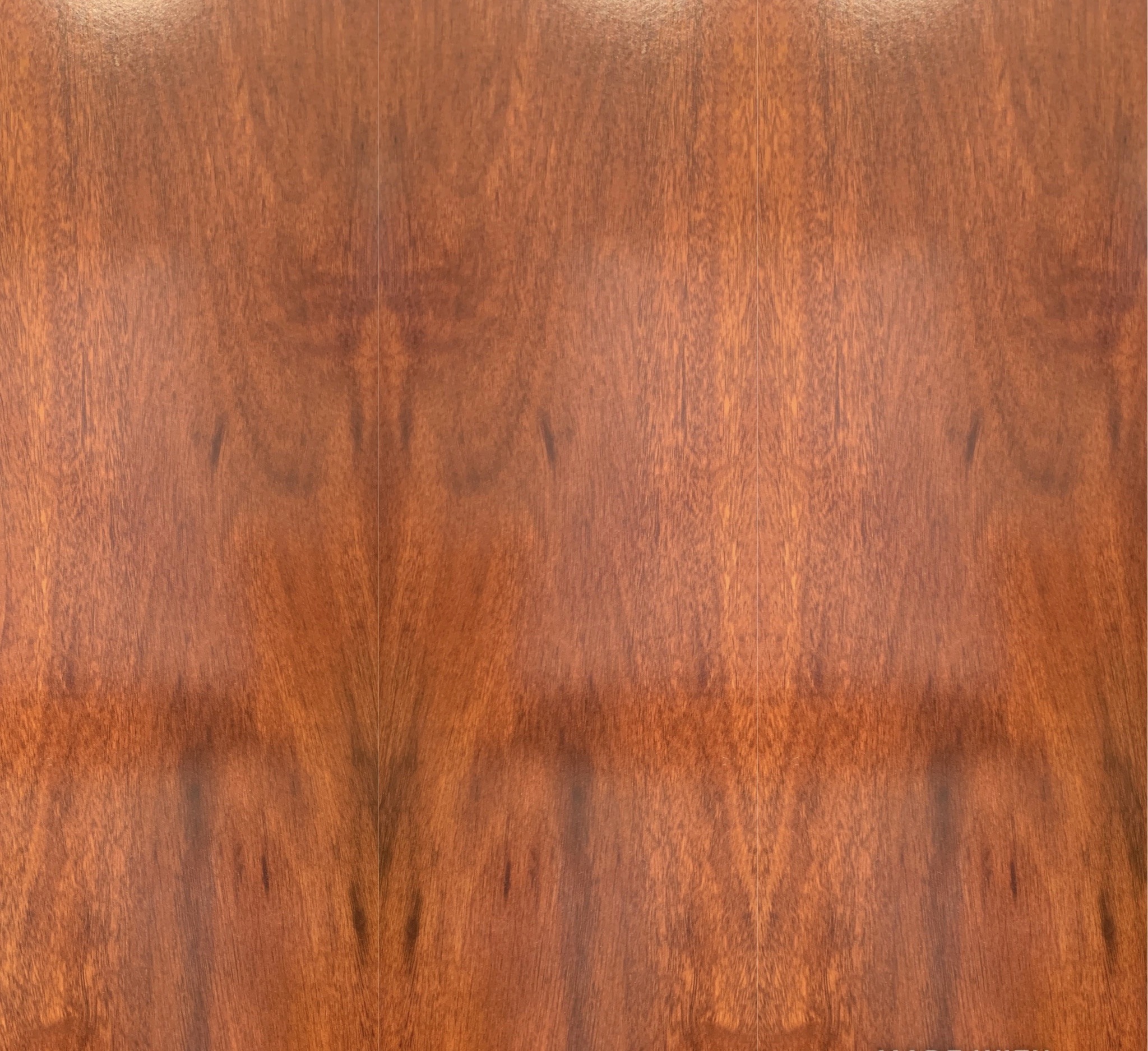 Laminate Flooring 12.3mm - Colour: Jarrah - Shower screens, splashbacks